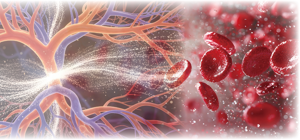 血流改善、妊活鍼灸、不妊鍼灸、東京